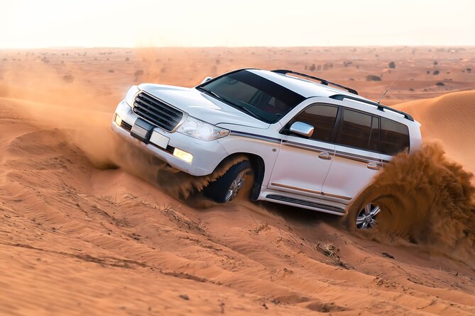 Dubai Evening Desert Safari With BBQ Dinner - Support and Assistance