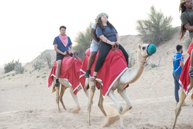 Dubai Half-Day Red Dunes Bashing With Sandboarding, Camel &Falcon - Adventure Activities Included