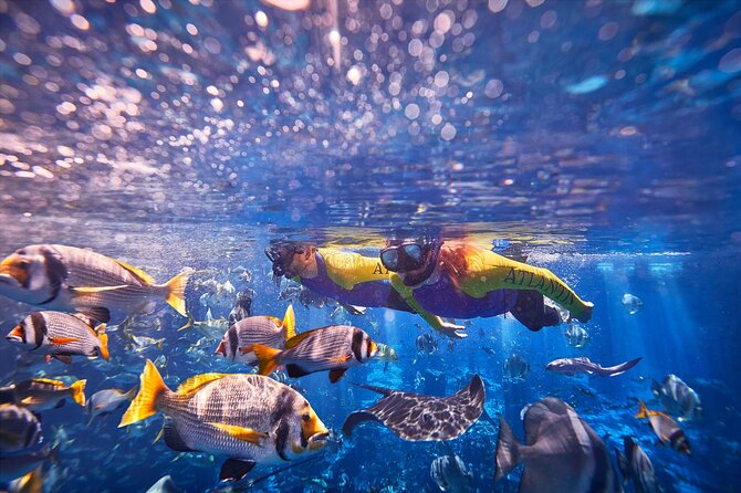 Dubai Lost Chambers Ultimate Snorkel Experience - Ideal Family-Friendly Marine Experience