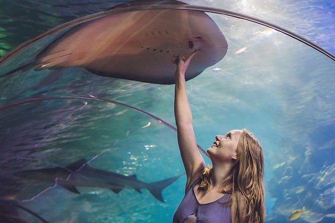 Dubai Mall Aquarium & Underwater Zoo - Pricing and Booking Details