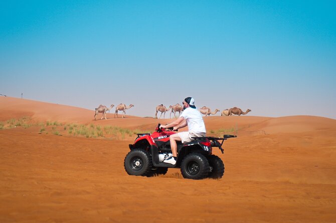 Dubai Morning Evening Desert Safari,Sand Boarding and Camel Ride - Included Activities