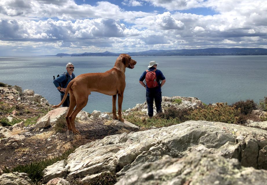 Dublin: Dublin Coastal Hiking Tour With Howth Adventures - Live Tour Guide and Starting Times