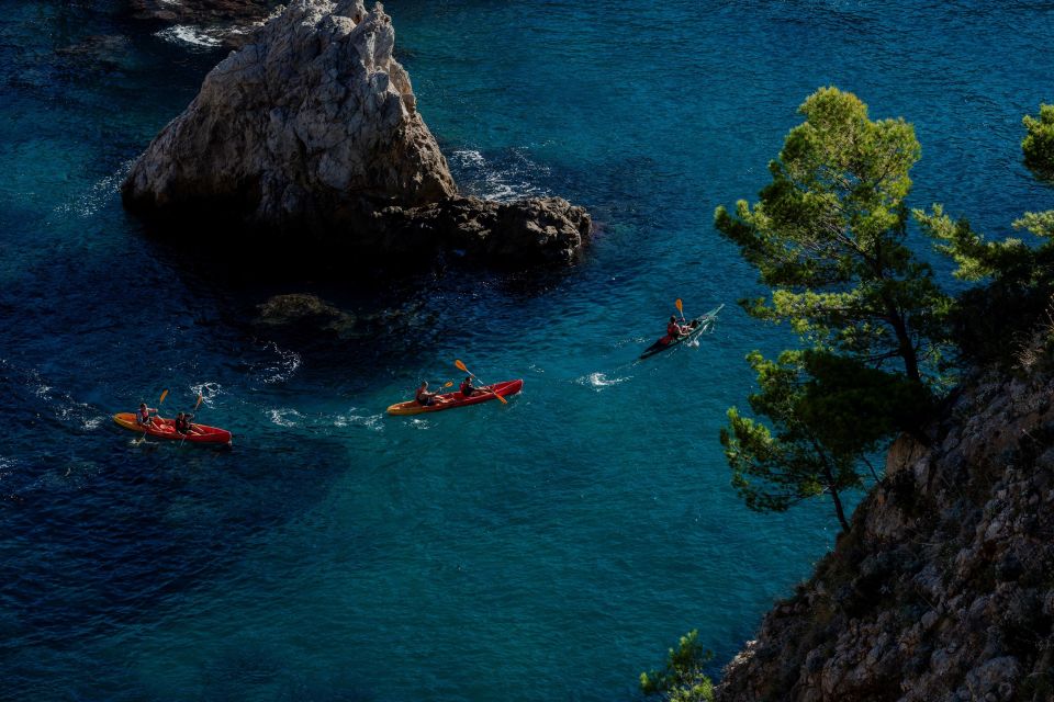 Dubrovnik: Day or Sunset Kayak Tour With Snorkeling & Snack - Activity Details