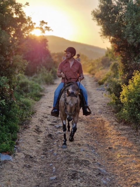 Dubrovnik Kojan Koral: Horseback Riding - Experience Highlights