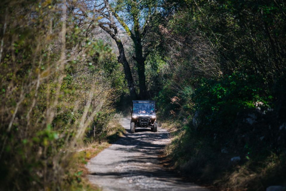 Dubrovnik: Private Panoramic Half-Day Buggy Tour With Brunch - Experience Description