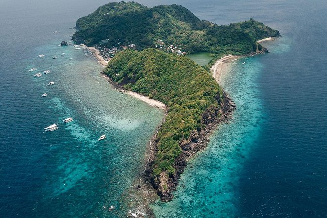 Dumaguete Apo Island Snorkeling Tour - Customer Support
