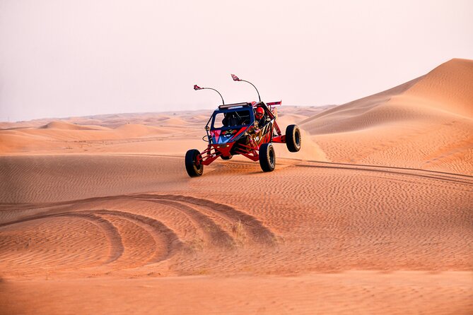 Dune Buggy Ride in Red Dunes Desert Safari- Private Experience - Inclusions and Logistics