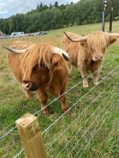 Dunrobin Castle, Clynelish Distillery Tour From Invergordon - Tour Highlights