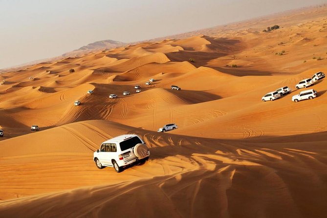 DXB Red Dune Desert Safari, Sand Boarding, Camel Ride, Live Shows, BBQ Dinner - Customer Feedback