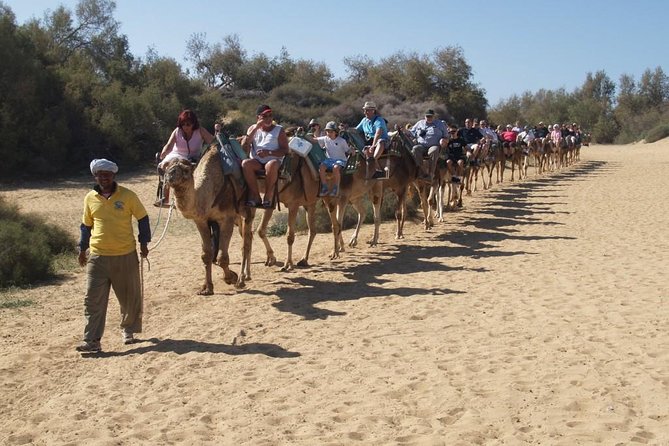 E-Bike City Tour With Camel Safari on the Maspalomas Dunes - Meeting Point and Start Time