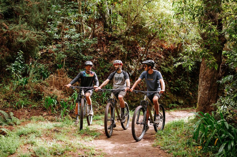 E-Bike Guided Tour - North Side Mountain Biking - Cancellation Policy & Discounts