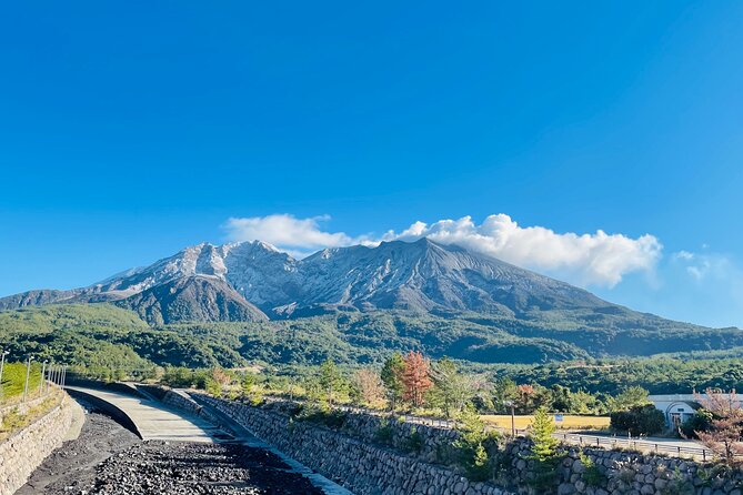 E-bike Hill Clim Tour to the No-Entry Zone of Sakurajima Volcano - Safety Precautions and Considerations