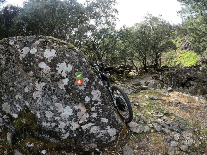 E-bike Tour at Estrela Mountains Natural Park - Experience Highlights