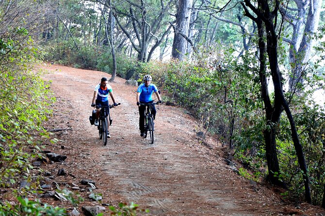 -E Bike Tour Through Vineyards With Ephesus Visit - Tour Information and Requirements