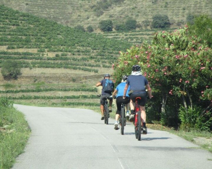 E-MTB - Vineyards Douro Tour - Booking Information