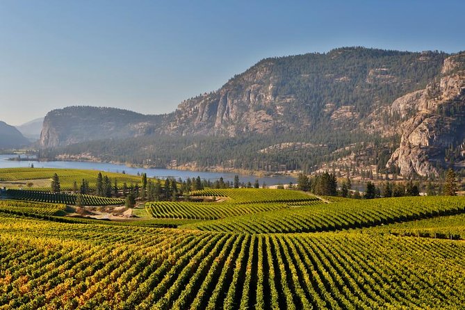 East Kelowna Wine Tour - Classic - 4 Wineries - Terroir and Flavor Insights