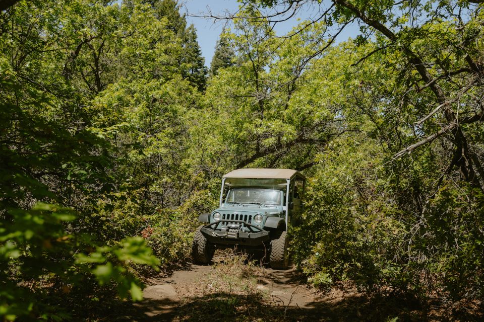 East Zion: Brushy Cove Jeep Adventure - Experience Highlights