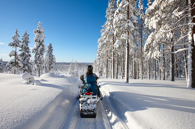 Easy Snowmobile Safari - Flexible Cancellation Policy