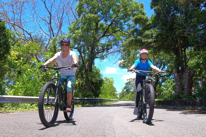 Ebike Tour Honolulu Rainforest - Inclusions and Logistics