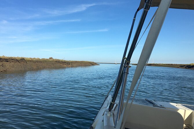 Eco Boat Tour in the Ria Formosa Lagoon From Faro - Booking Information