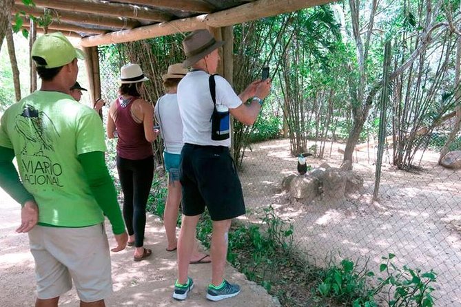 Eco Plan National Aviary and Lunch in Playa Mambo Beach Barú - Common questions