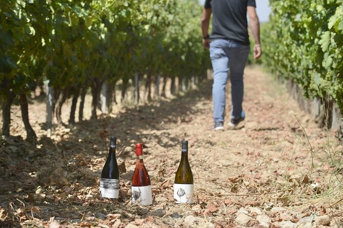 Ecological Vineyard Tour With Wine Tasting - Grape Varieties Grown on the Estate