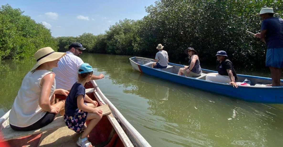 Ecotour and Fishing in Cartagena's Natural Mangrove - Mangrove Exploration Details