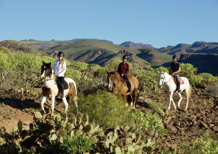 El Salobre: Horse Riding Adventure With Transfer Options - Experience Highlights