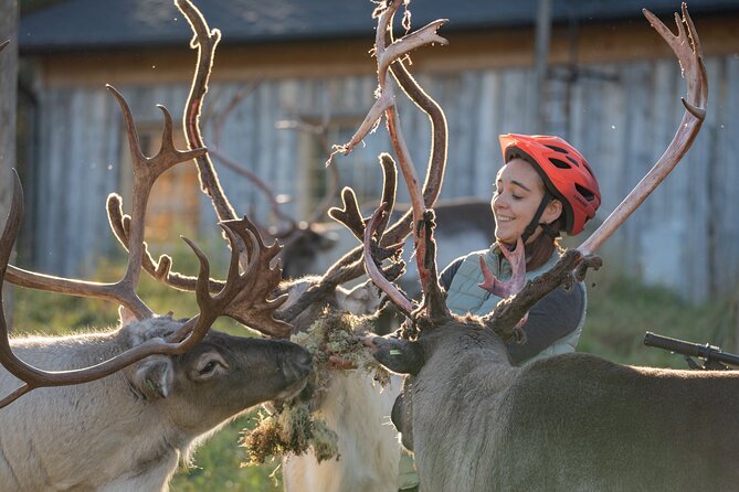 Electric Fatbike Trip to the Reindeer Farm - Inclusions and Extras