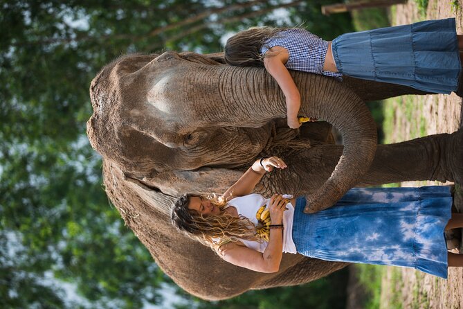 Elephant Jungle Sanctuary: Half Day Afternoon Program - Sanctuary Location