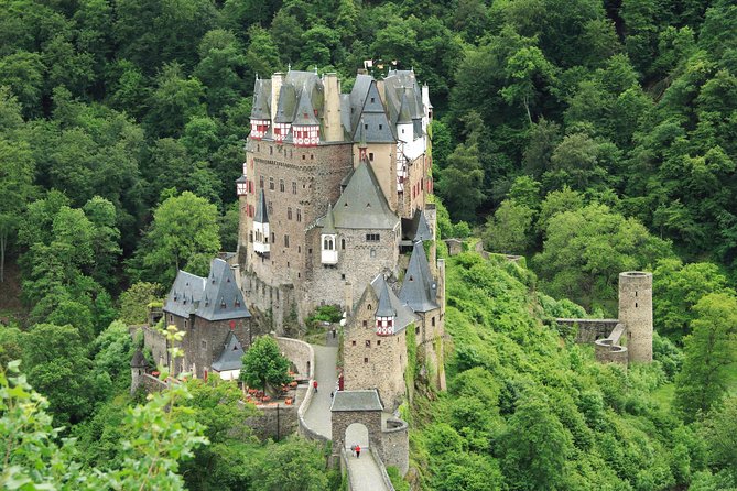 Eltz Castle Small-Group Tour From Frankfurt With Dinner - Eltz Forest Discovery