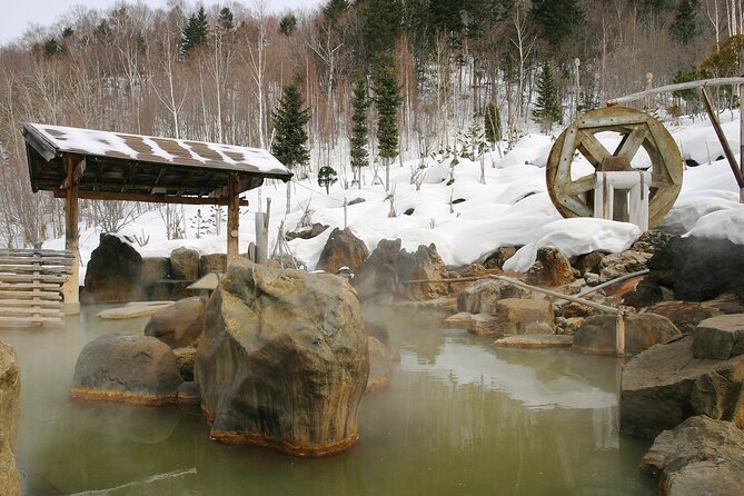 Enjoy Snow-Covered Hot Springs With Private Transport - Snow-Covered Hot Springs Experience