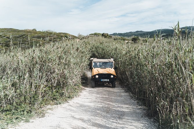 Epic Off-Road Adrenaline in Sintra - Small-Group Tour in Natural Park