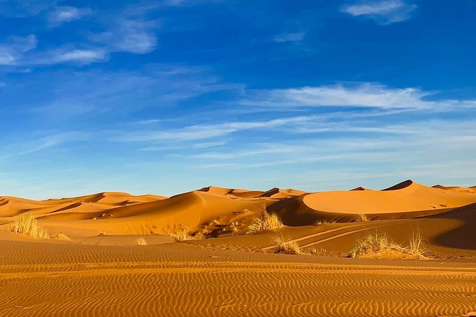 Erg Chebbi Dunes Overnight Camel Trek With Berber Tent Camping  - Merzouga - Logistics