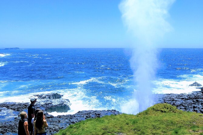 Erupting Blowholes and Ancient Rainforests SOUTH COAST OF SYDNEY PRIVATE TOUR - Stunning Landscapes and Attractions