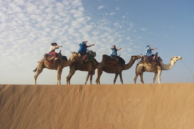 Essaouira 1 Hour Private Camel Ride - Reviews and Ratings