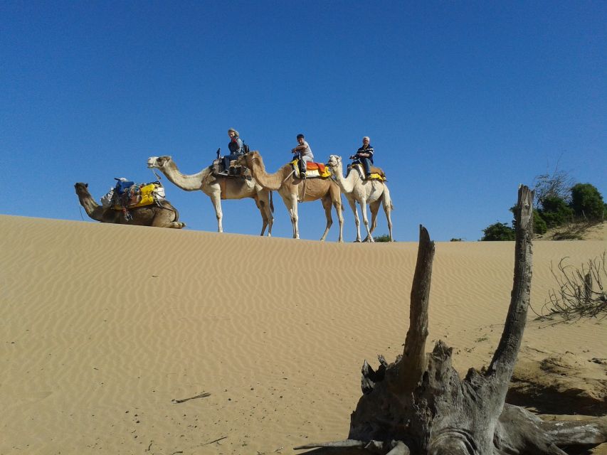 Essaouira: 3-Hour Dromedary Ride and Berber Tent Overnight - Customer Reviews