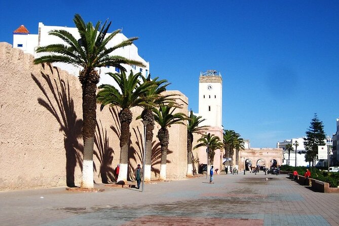 Essaouira Day Trip From Agadir or Taghazout - Customer Reviews