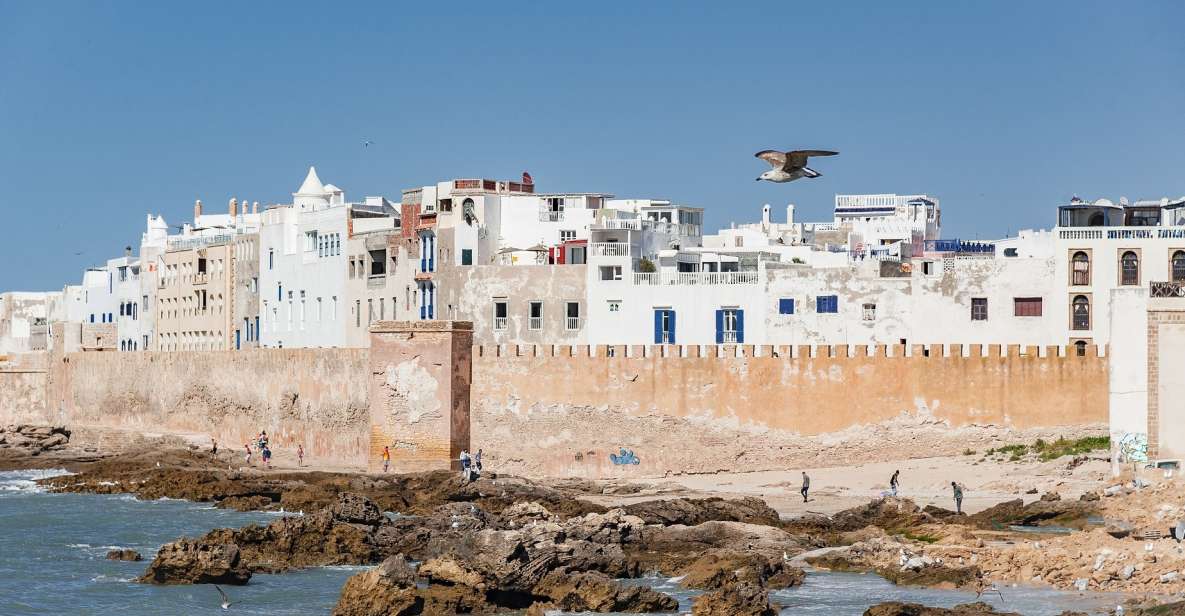 Essaouira Full Day Trip : From Marrakech - Exploring Essaouiras Highlights