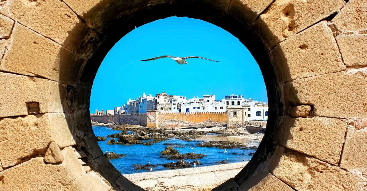 Essaouira: Guided Day Trip With Argan Oil Cooperative - Experience Highlights