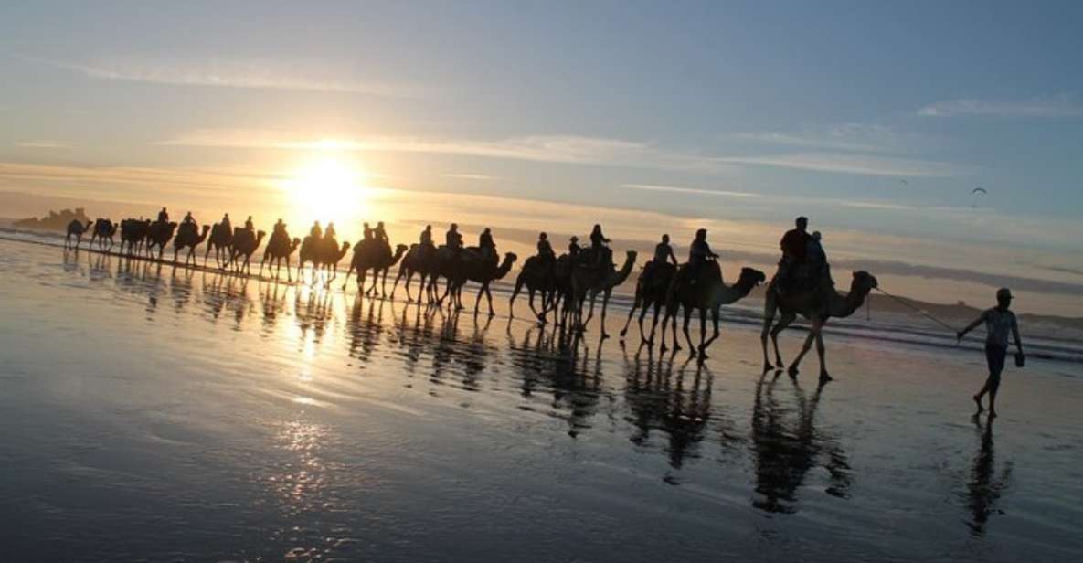 Essaouira: Guided Quad Bike Tour and Camel Ride - Activity Highlights and Exploration