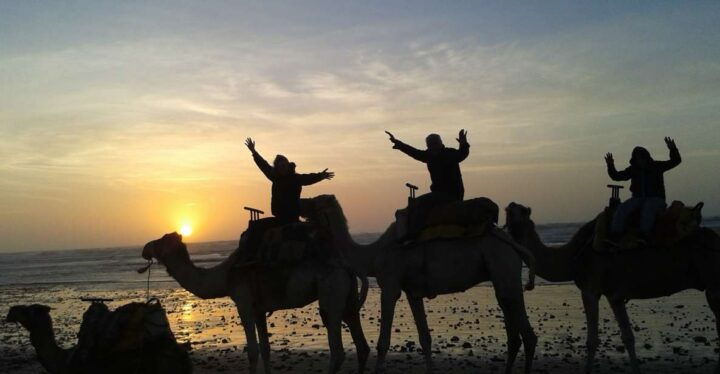 Essaouira: One Hour Dromedary Ride - Unique Experience on a Dromedary