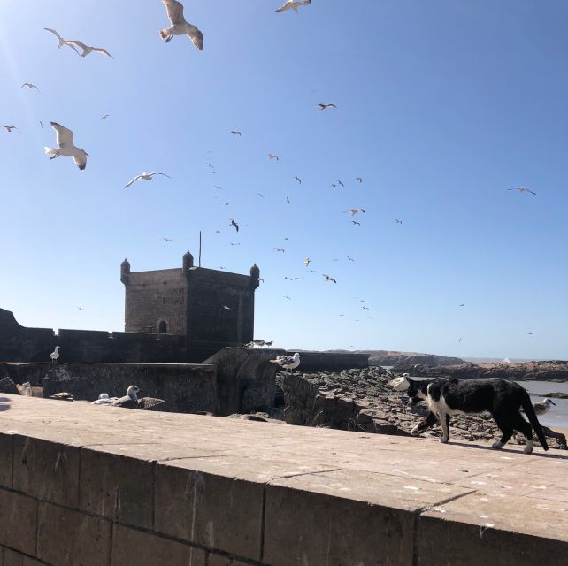 Essaouira: Private City Tour