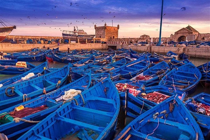 Essaouira Tour From Marrakech Shared Small-Group - Itinerary Highlights