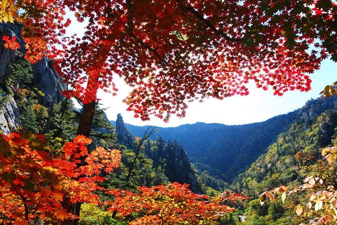 Essential Autumn Foliage of Korea 3 Days With Sorak and Odaesan Mountain - Day 1 Itinerary