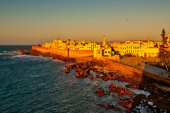 Essouira Full-Day Tour From Agadir With a Group - Customer Reviews and Ratings