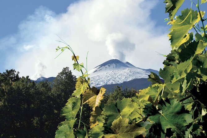 Etna and Wines Tour - Itinerary Highlights