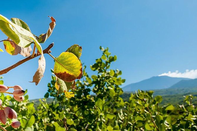 Etna Tour and Pistachio Lunch - Sicily Hiking Tour - Logistics and Guidelines