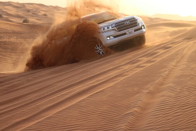 Evening Desert Safari Dubai With Camel Riding & BBQ Buffet Dinner - Customer Support and Assistance