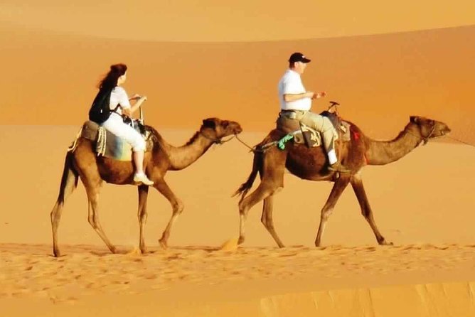 Evening Desert Safari With BBQ Dinner & 7 Live Shows - Booking Details